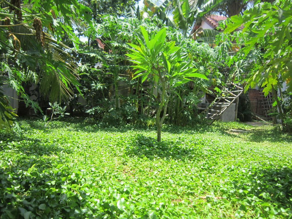 Local Beach Homestay Hoi An Bagian luar foto